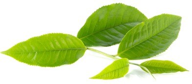 loveli groene thee