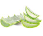 aloe vera lr2